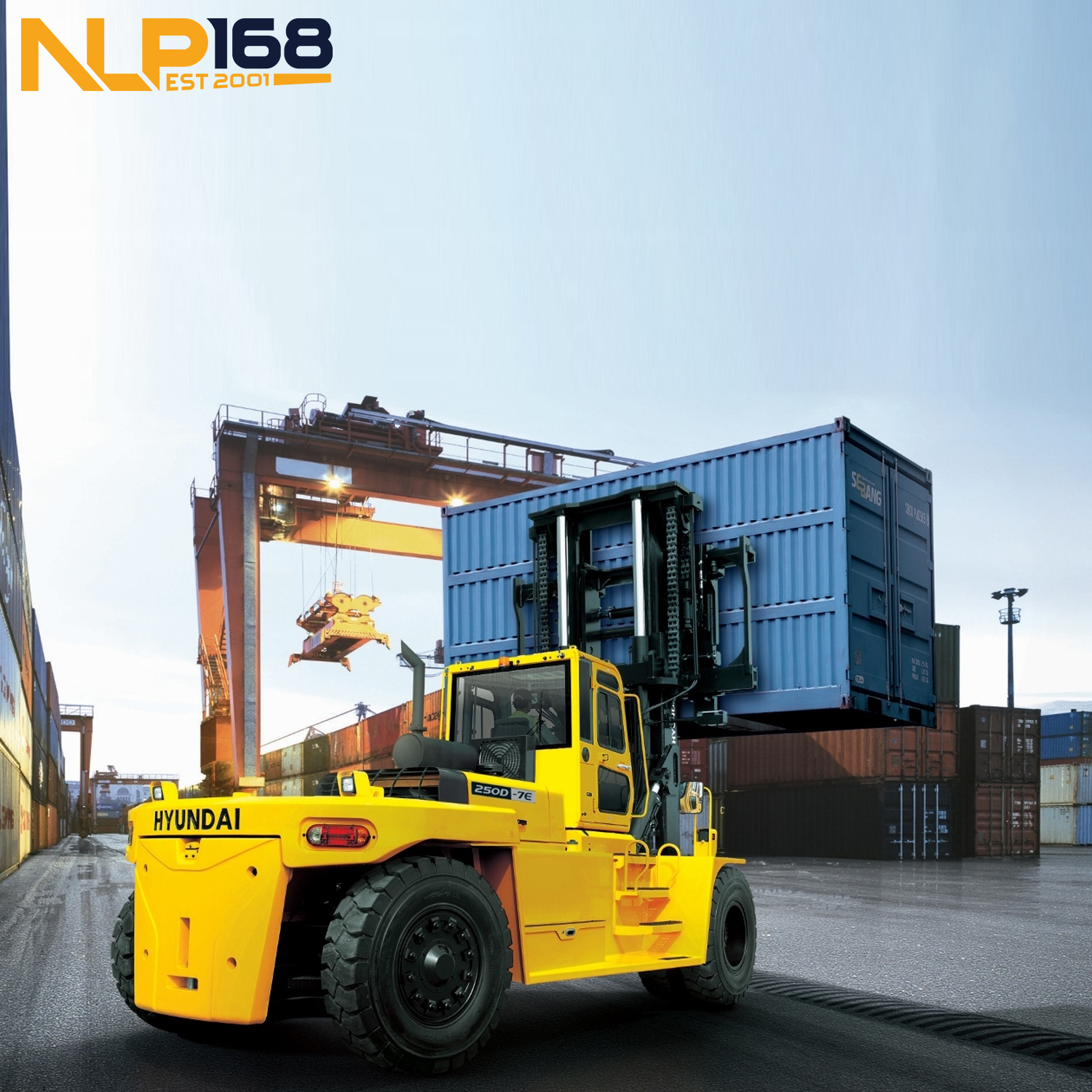 hyundai-250d-7e-2 Xe nâng dầu Hyundai 250D-7E