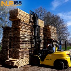 Xe nâng dầu Hyundai 45D-9S