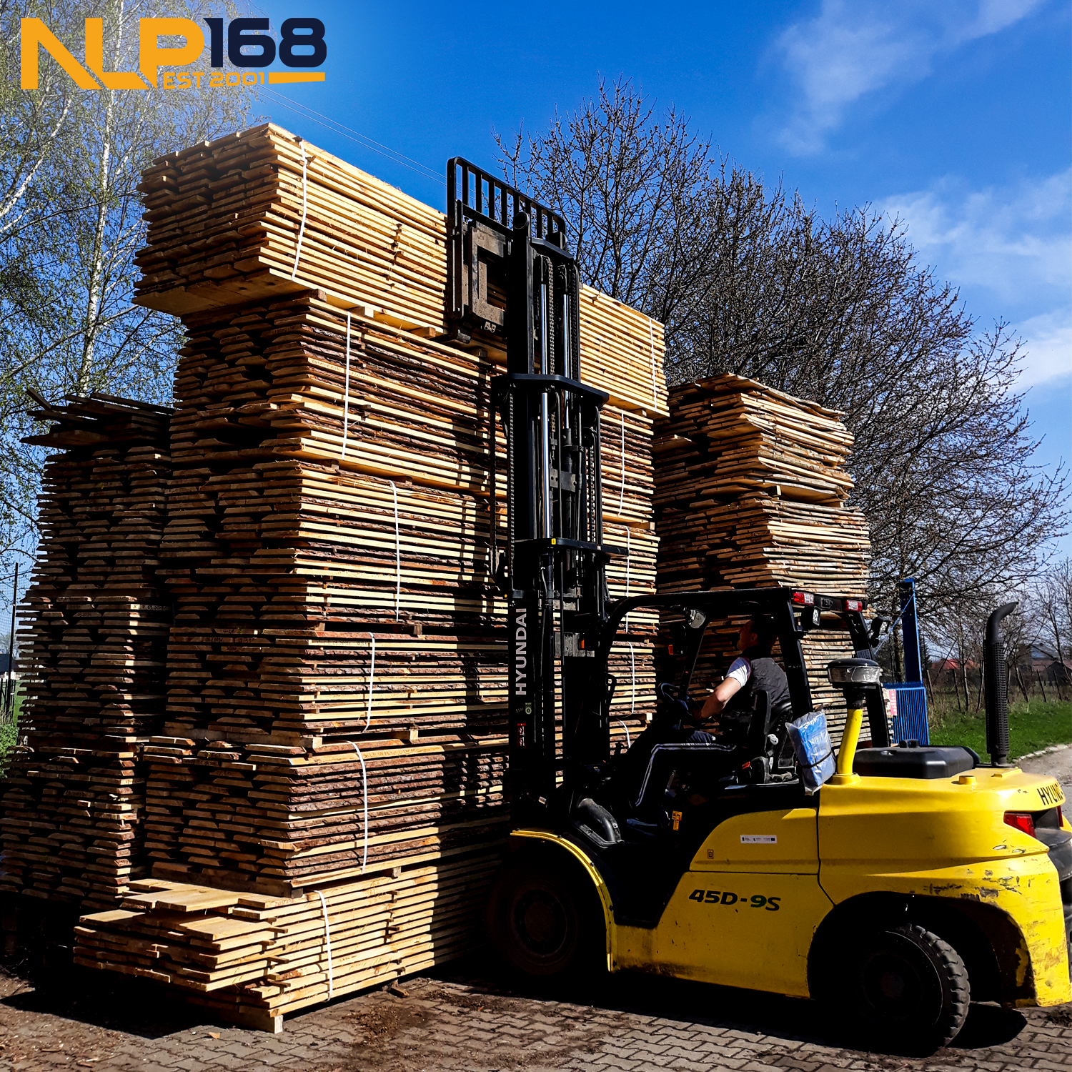 hyundai-45d-9s-2 Xe nâng dầu Hyundai 45D-9S